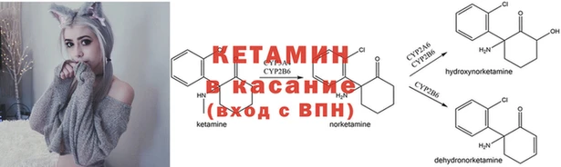 каннабис Беломорск