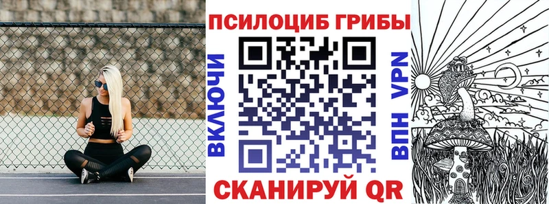 Галлюциногенные грибы ЛСД  Волосово 